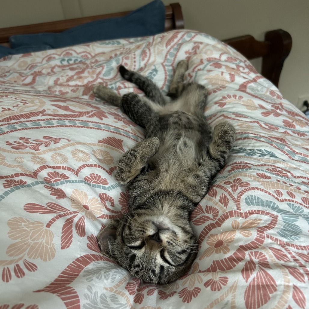 Lucy (k2026), photo 4