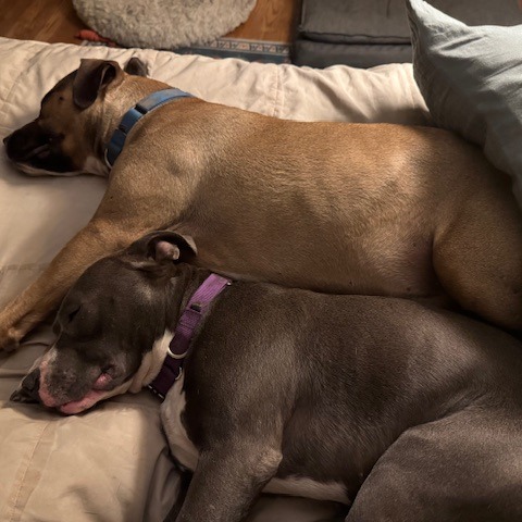 Nugget, additional photo