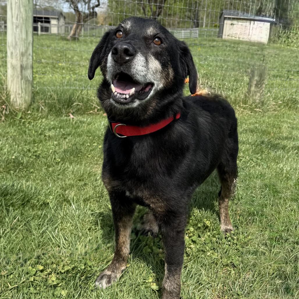 CARL (IN FOSTER)