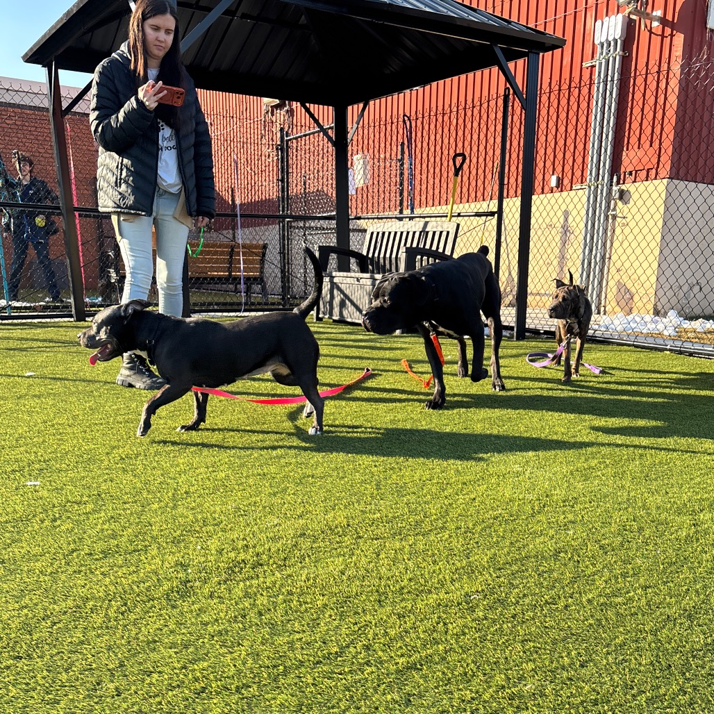 Aliah — thumbnail 5