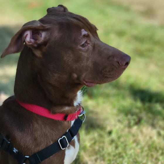 Photo of Starcraft 11