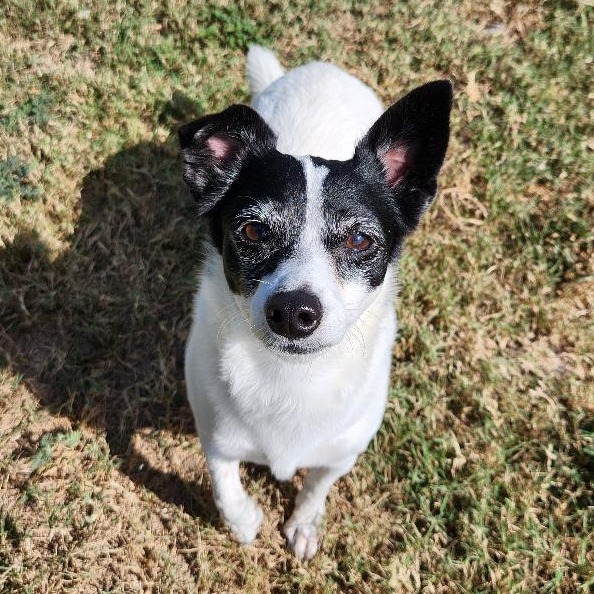Penelope