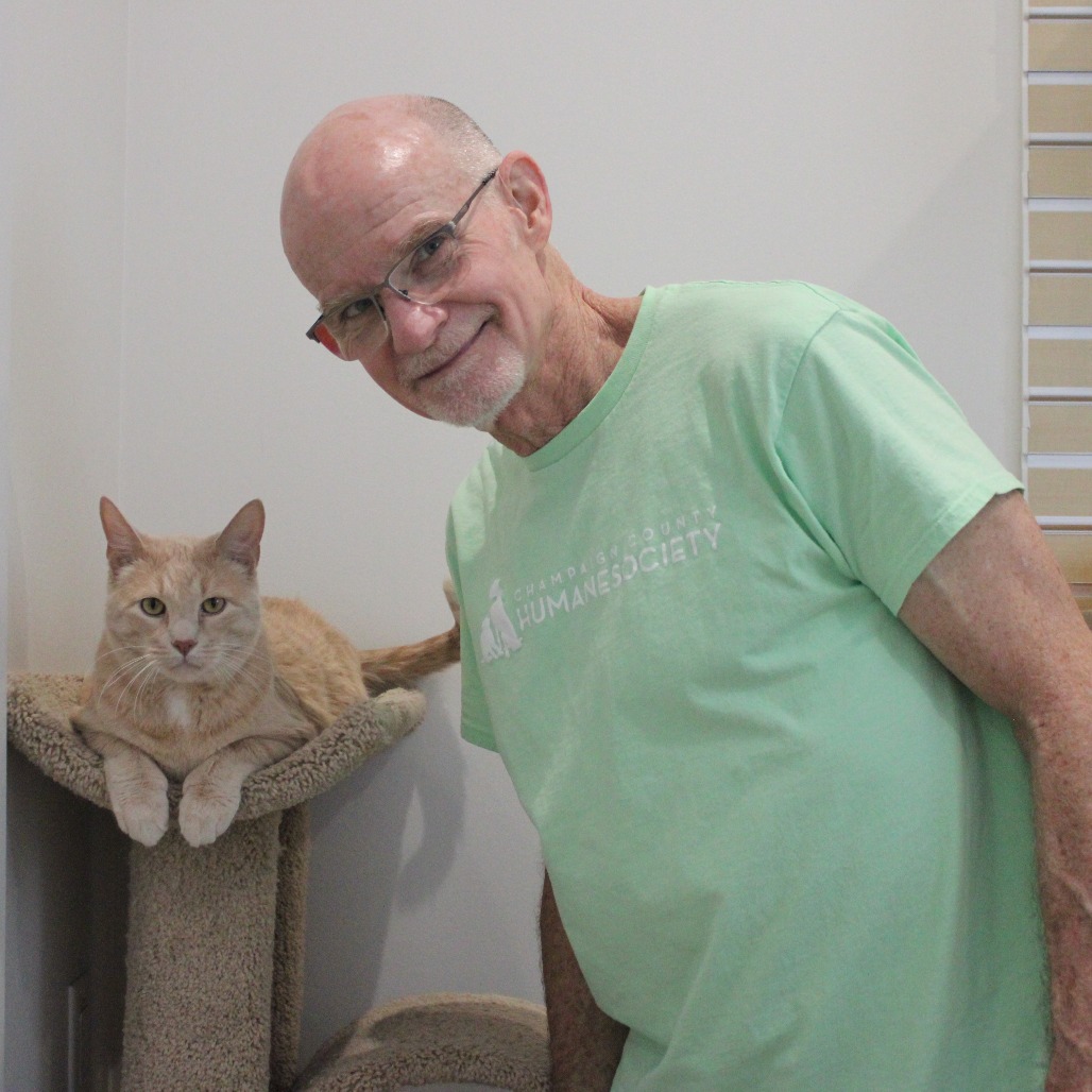 Puddin is available for adoption at Champaign County Humane Society