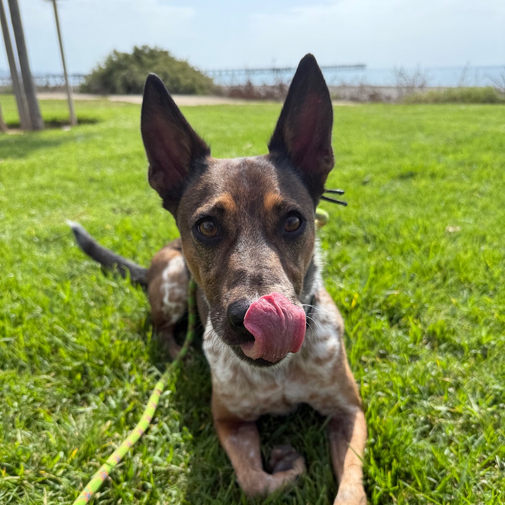 Cash, photo 8