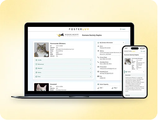 Fosterluv's foster roster on a laptop and an animal record on a phone