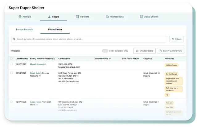 A foster roster with capacity and availability filters