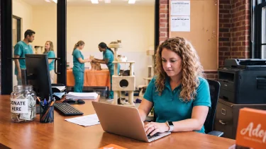 A shelter staff member working at a laptop in a cat adoption room