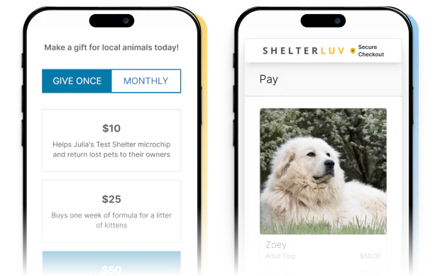 An adopter choosing a donation amount and paying on two phones