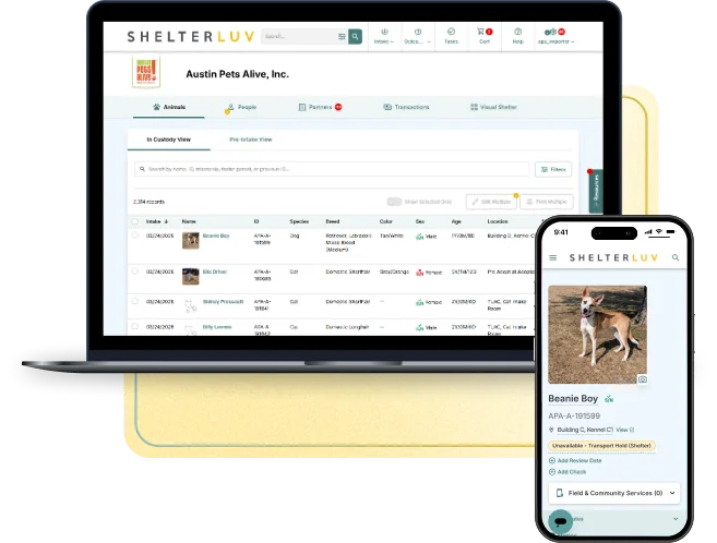 Shelterluv's animal list on a laptop and an animal record on a phone