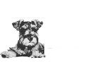 Maddie's Fund