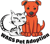 WAGS Pet Adoption